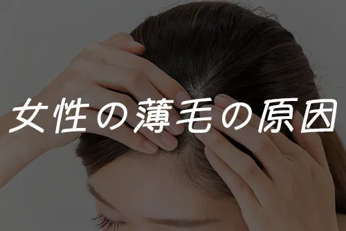 女性の薄毛の原因