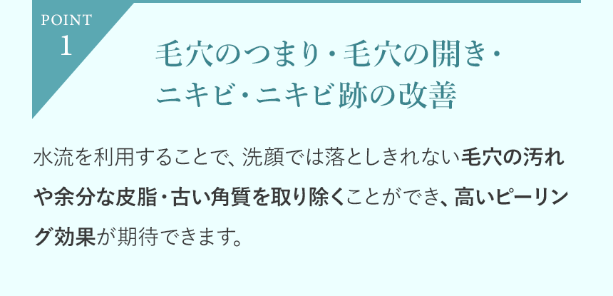 POINT1「毛穴のつまり・毛穴の開き・ニキビ・ニキビ跡の改善」