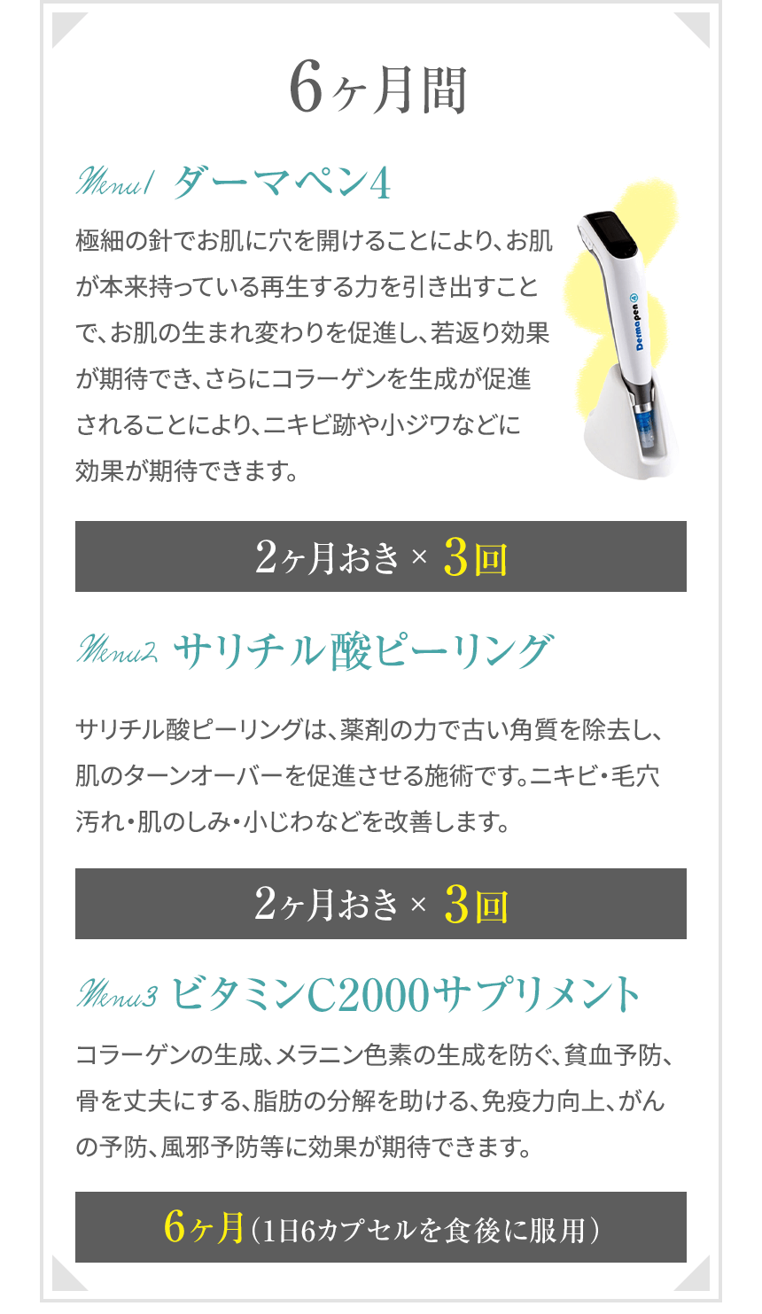 6ヶ月間